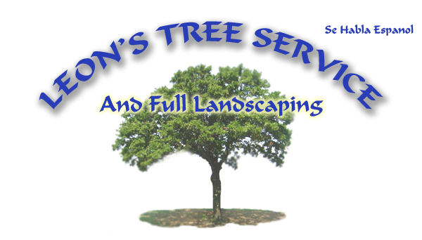 Leon's Tree Service and Full Landscaping