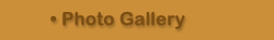 Photo Gallery